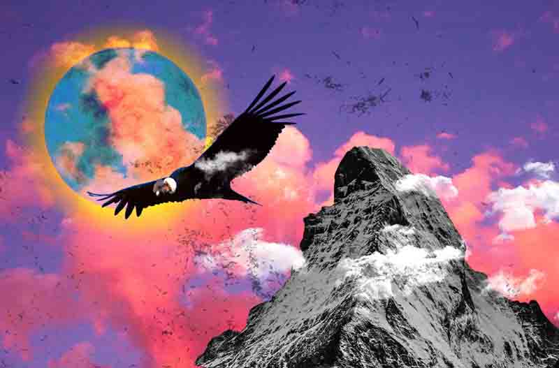 Condor & Faith
